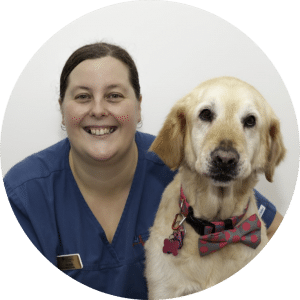 AES Elevate Emergency Nursing Program Improve Veterinary Education Australia