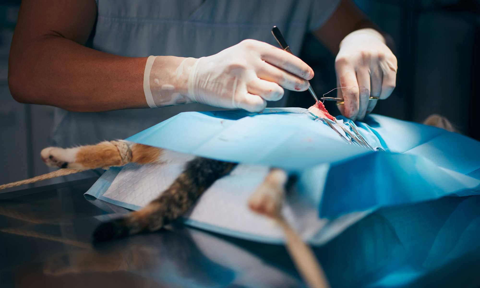emergency surgery
